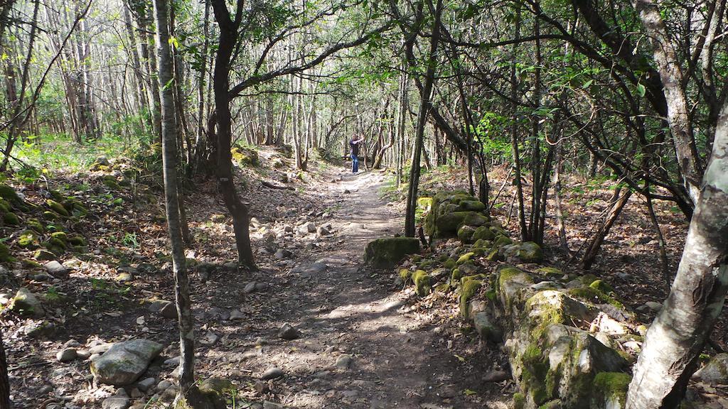 Apartamentos El Capricho Águeda del Caudillo Eksteriør bilde